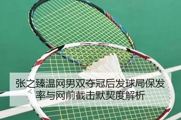 zhang-zhi-zhen-wen-wang-nan-shuang-duo-guan-hou-fa-qiu-ju-bao-fa-lv-yu-wang-qian-jie-ji-mo-qi-du-jie-xi-2-109.jpg